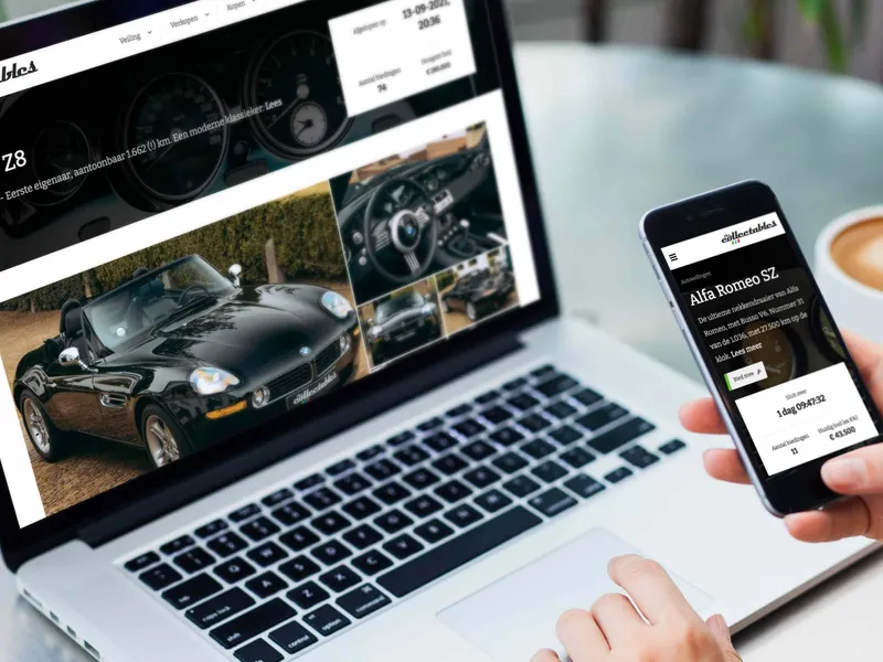 Eine Auktionswebsite erstellen lassen